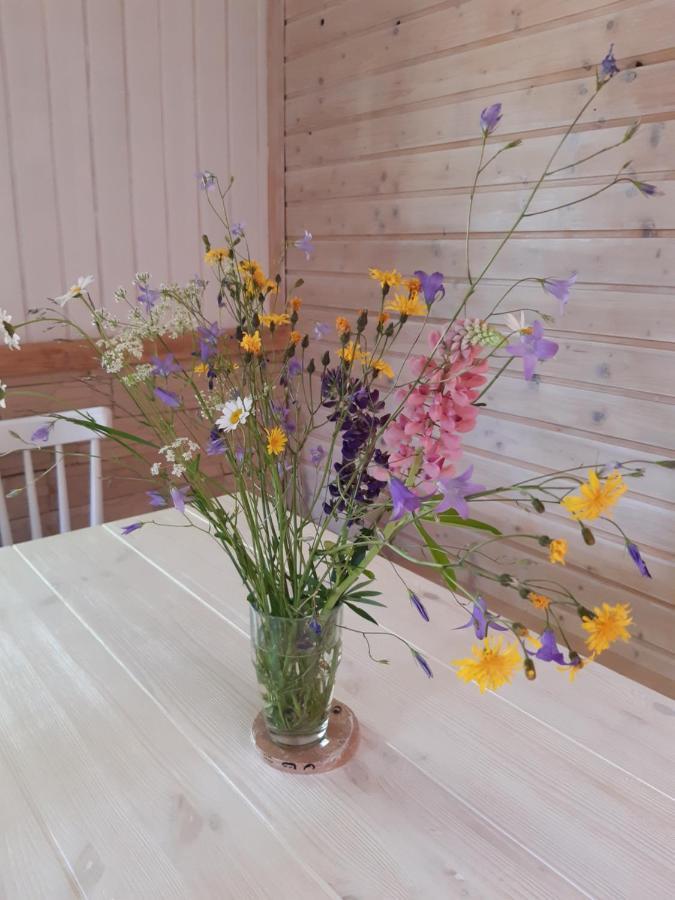 Hygge chaloupka v horách Vila Český Jiřetín Exterior foto