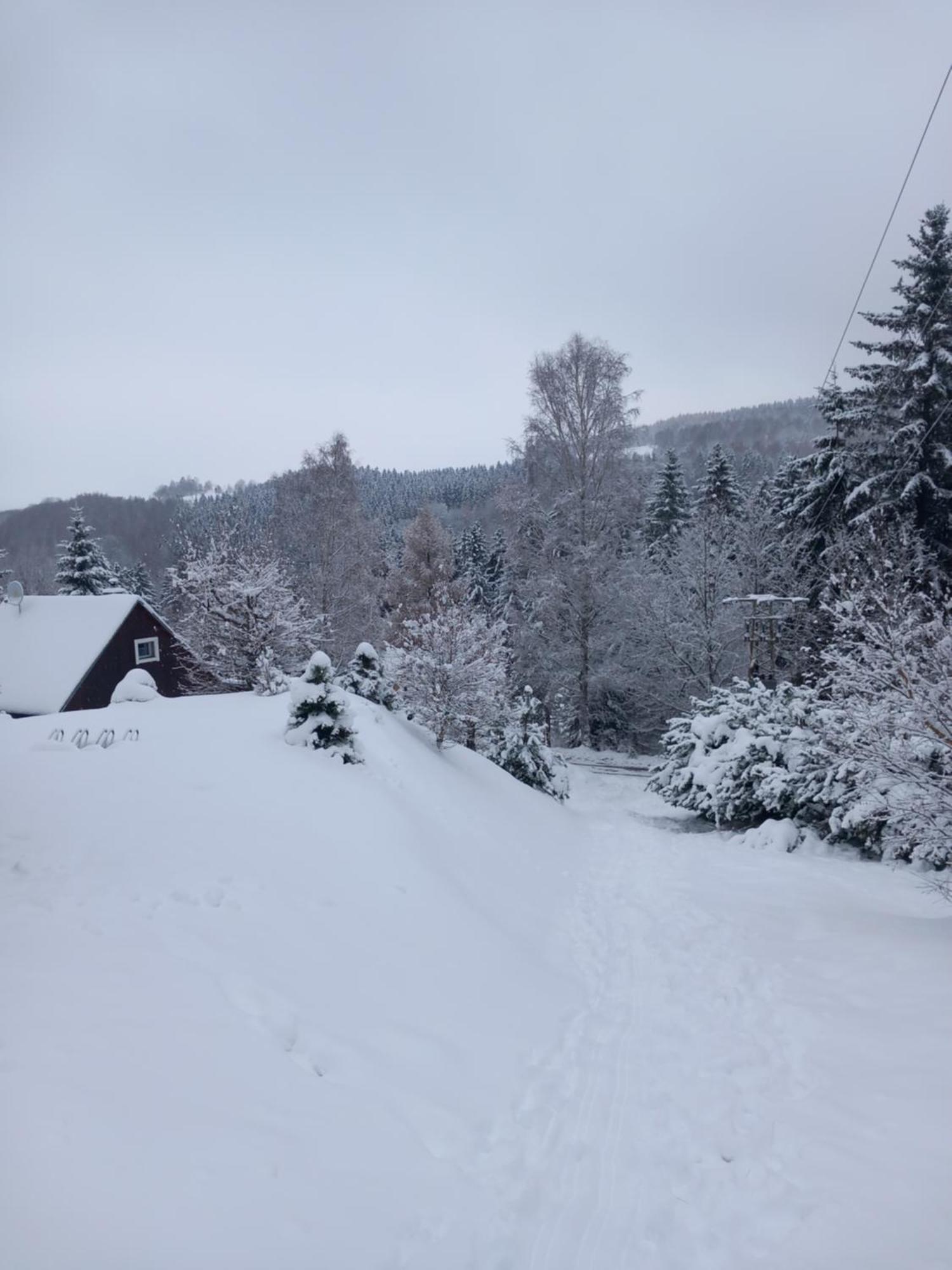 Hygge chaloupka v horách Vila Český Jiřetín Exterior foto