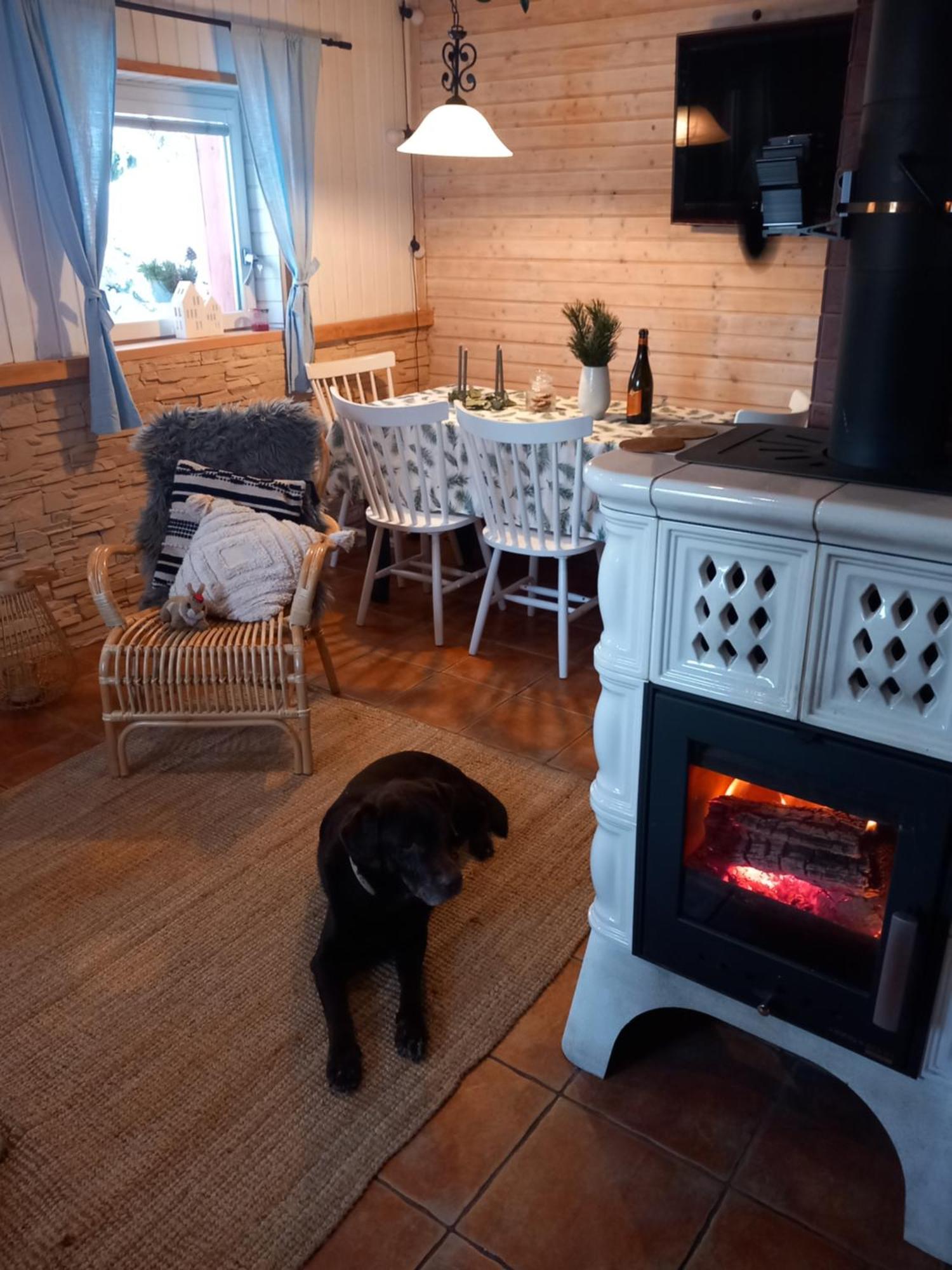 Hygge chaloupka v horách Vila Český Jiřetín Exterior foto